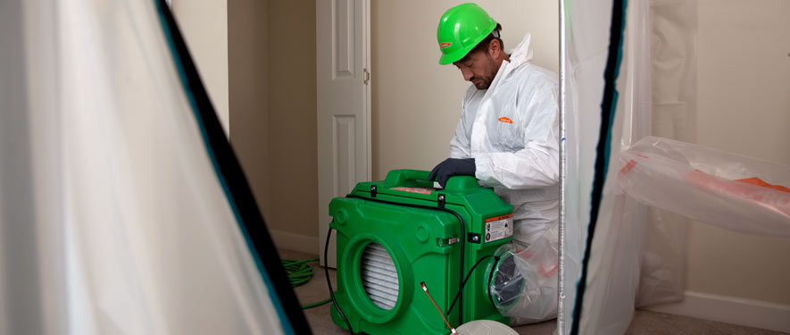 Friendswood, TX mold cleanup