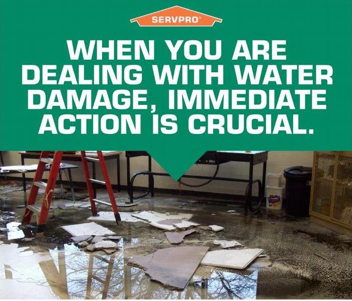 Water Damage Tips