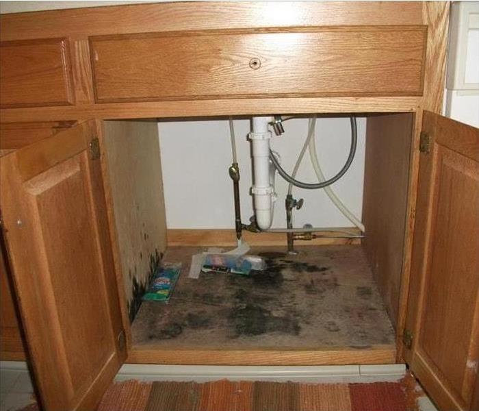 Cabinet under kitchen sink doors open with mold growing. 