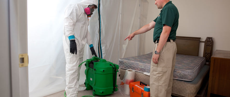 Friendswood, TX mold removal process
